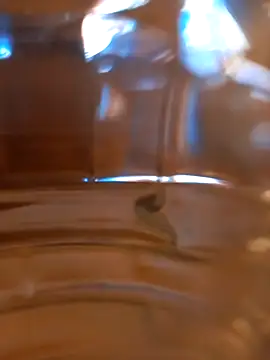 kx93 online show from October 2025 03:47:01 AM