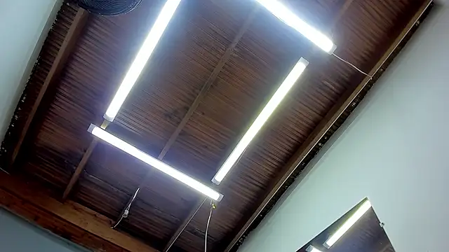 esteban cor online show from January 2025 06:42:01 AM