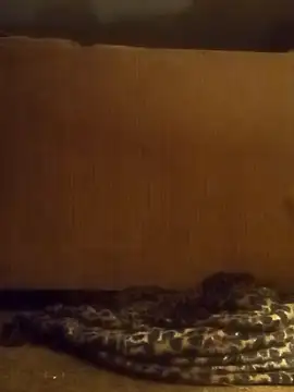 luke thighwalker2469 online show from February 2025 01:11:02 PM