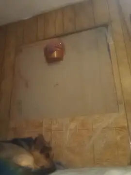 luke thighwalker2469 online show from February 2025 01:16:01 PM