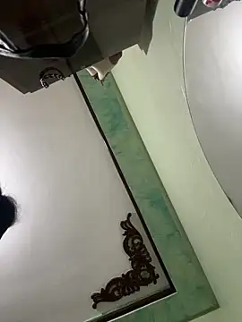 Snapshot of jassmine911 chatting on February 2026 07:48:01 PM jassmine911 online show from February 2026 07:48:01 PM