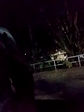 mis312 online show from September 2025 03:06:02 AM