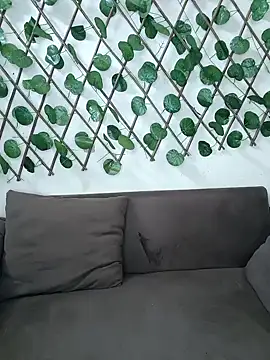 Snapshot of Bold-Cat chatting on November 2025 04:51:01 PM Bold-Cat online show from November 2025 04:51:01 PM