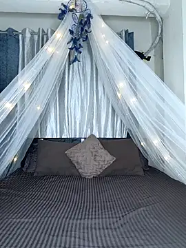 Snapshot of Bold-Cat chatting on February 2026 05:53:02 PM Bold-Cat online show from February 2026 05:53:02 PM