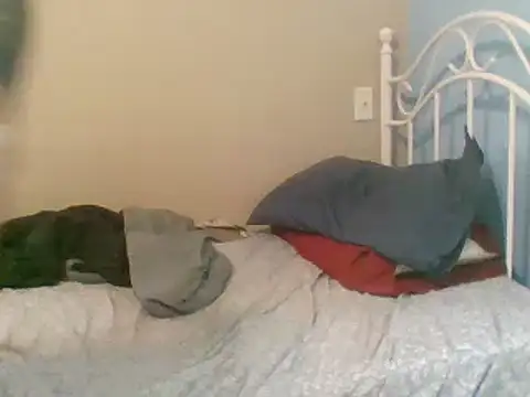 SmokingSloth online show from March 2025 05:06:02 PM