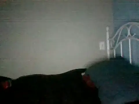 SmokingSloth online show from March 2025 11:27:02 AM