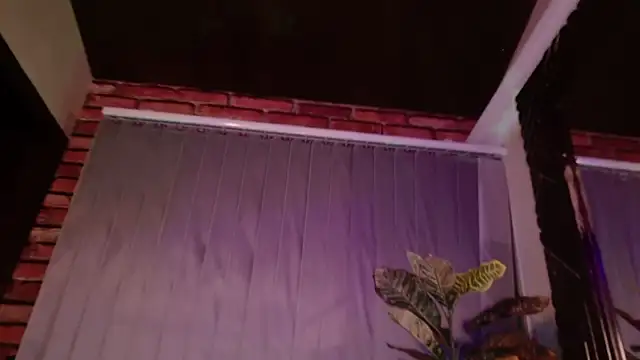 Snapshot of SeleneeEvanss chatting on October 2025 11:28:02 PM SeleneeEvanss online show from October 2025 11:28:02 PM