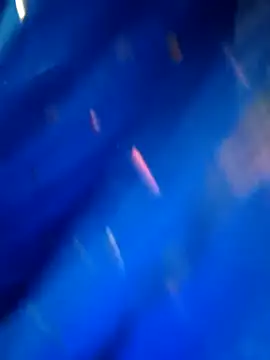 sneha rose online show from September 2025 05:12:02 PM