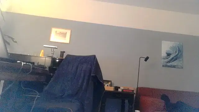 Snapshot of RolfS chatting on February 2025 12:49:01 AM RolfS online show from February 2025 12:49:01 AM