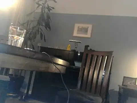 Snapshot of RolfS chatting on March 2025 11:00:02 PM RolfS online show from March 2025 11:00:02 PM