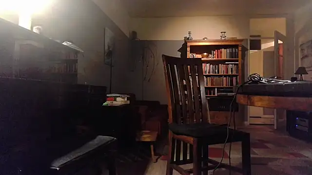 Snapshot of RolfS chatting on October 2025 10:18:01 PM RolfS online show from October 2025 10:18:01 PM