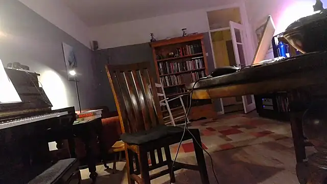 Snapshot of RolfS chatting on November 2025 11:59:01 PM RolfS online show from November 2025 11:59:01 PM