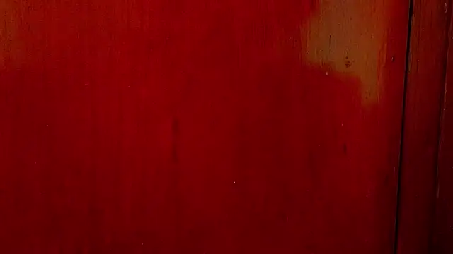 anisha x online show from October 2025 07:20:02 PM