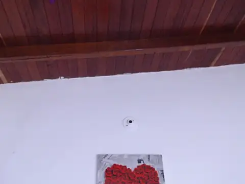 Amara Red online show from March 2025 11:28:01 AM