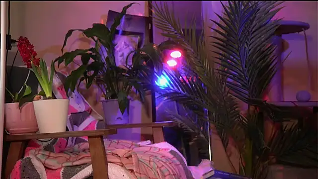 Arianna Richi online show from March 2026 06:40:01 AM