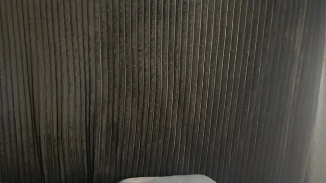 1BECHA1 online show from November 2025 04:22:02 AM