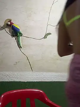 Karla-sexy01 online show from January 2025 03:07:02 AM