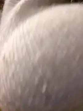 Giuliana baby online show from March 2025 09:21:01 AM