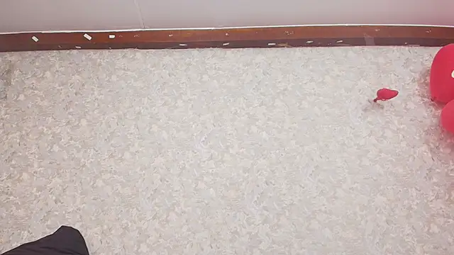 nicol f online show from February 2025 07:17:02 PM