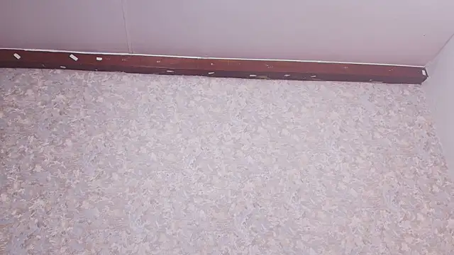 nicol f online show from March 2025 01:25:02 AM