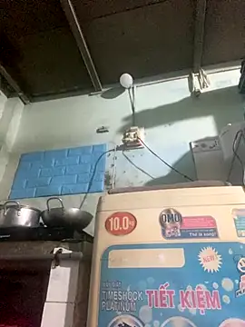 Ly Coca24 online show from October 2025 05:31:01 AM