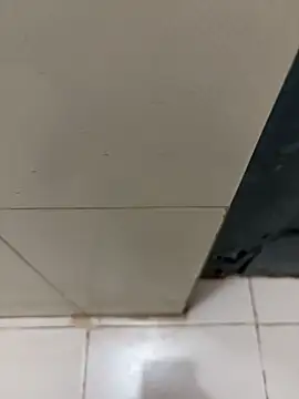 nangakings online show from December 2025 03:18:02 PM