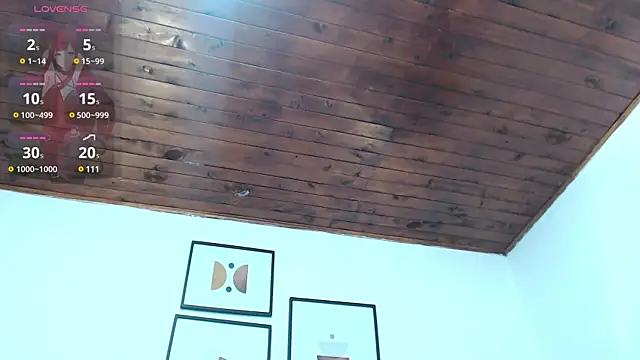 samy l online show from December 2024 02:17:02 PM