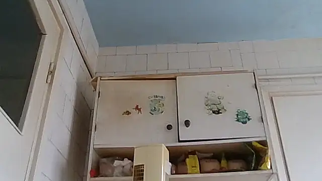 Snapshot of mariusica1@xh chatting on February 2026 01:51:01 PM mariusica1xh online show from February 2026 01:51:01 PM