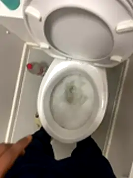 Rastamanzigy22 online show from November 2025 06:19:02 AM