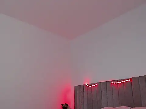 Snapshot of thomas_gun chatting on November 2025 01:49:02 AM thomas gun online show from November 2025 01:49:02 AM