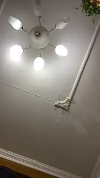 shuai321 online show from December 2024 01:43:02 PM