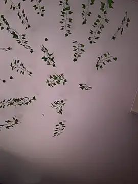 -Sexy Barbie- online show from November 2025 02:11:02 AM