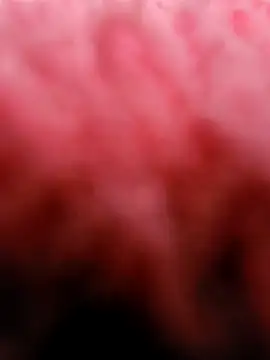 eric69 69 online show from March 2025 03:29:01 PM