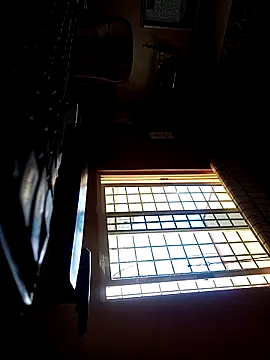 daddy indian online show from March 2025 07:14:01 AM