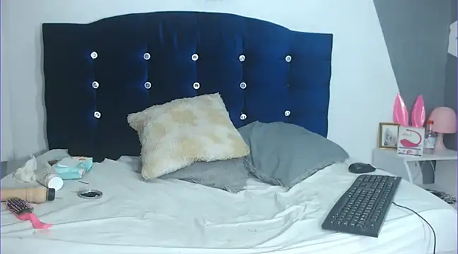 chicago 28 online show from January 2025 08:51:01 AM