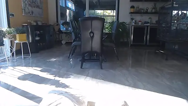 Snapshot of Toy-Daddy chatting on October 2025 06:43:01 PM Toy-Daddy online show from October 2025 06:43:01 PM