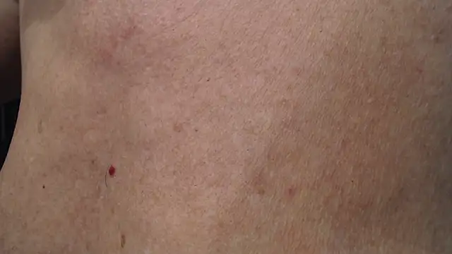 Snapshot of Toy-Daddy chatting on November 2025 12:33:01 AM Toy-Daddy online show from November 2025 12:33:01 AM