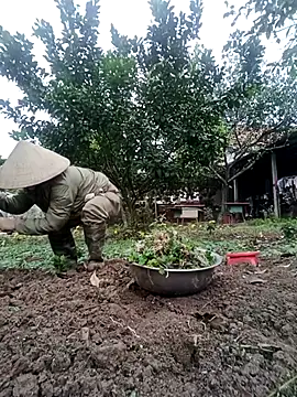 Snapshot of Fuckmehard2xx chatting on February 2025 02:51:02 AM Fuckmehard2xx online show from February 2025 02:51:02 AM