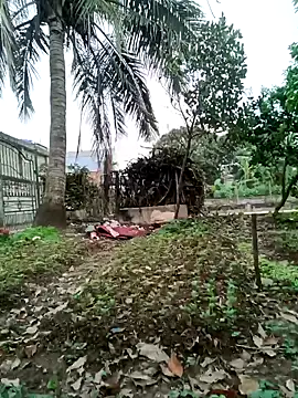 Snapshot of Fuckmehard2xx chatting on March 2025 09:24:02 AM Fuckmehard2xx online show from March 2025 09:24:02 AM