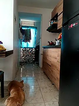 LEIRIS Y FRED 01 online show from January 2026 02:43:01 PM