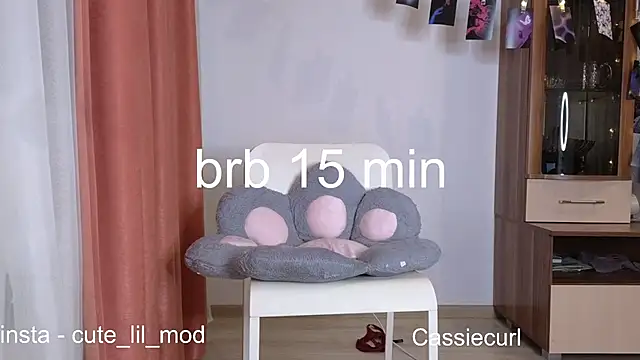 art phoenix online show from December 2024 07:36:01 PM