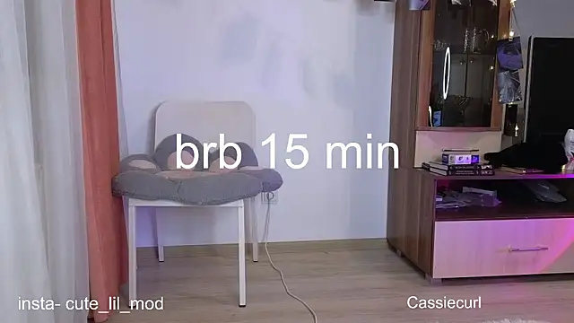 art phoenix online show from March 2025 09:06:02 PM