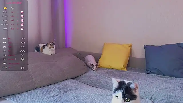 EkaterinaUpple online show from January 2025 05:52:02 AM