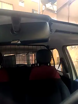 Porco81cazzo online show from November 2025 08:50:02 AM