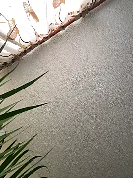 Arii vega  online show from February 2025 09:05:02 PM