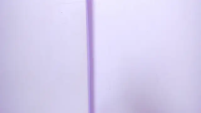 celestelewis online show from February 2025 07:37:02 PM