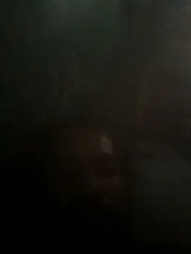 taylorWiiz online show from October 2025 05:36:02 PM