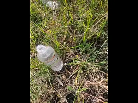 boy BeardGallery online show from November 2025 09:52:01 AM