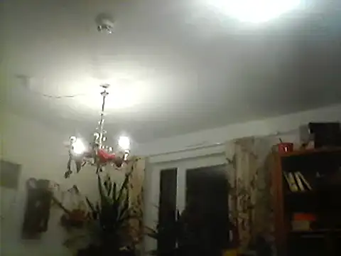 Snapshot of Bigpenis6y chatting on December 2024 06:17:01 PM Bigpenis6y online show from December 2024 06:17:01 PM