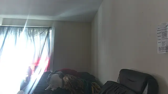 Snapshot of RickStone51 chatting on March 2026 07:21:02 PM RickStone51 online show from March 2026 07:21:02 PM